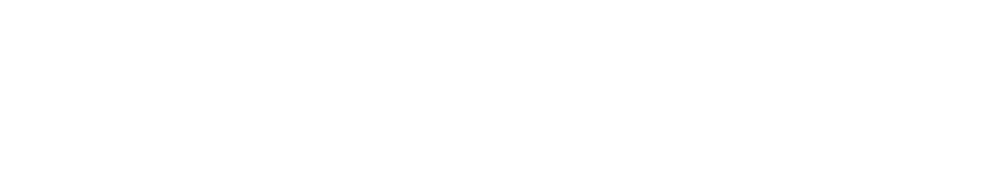 VisionIQ